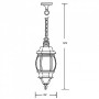 Уличный светильник подвесной  83405S Gb